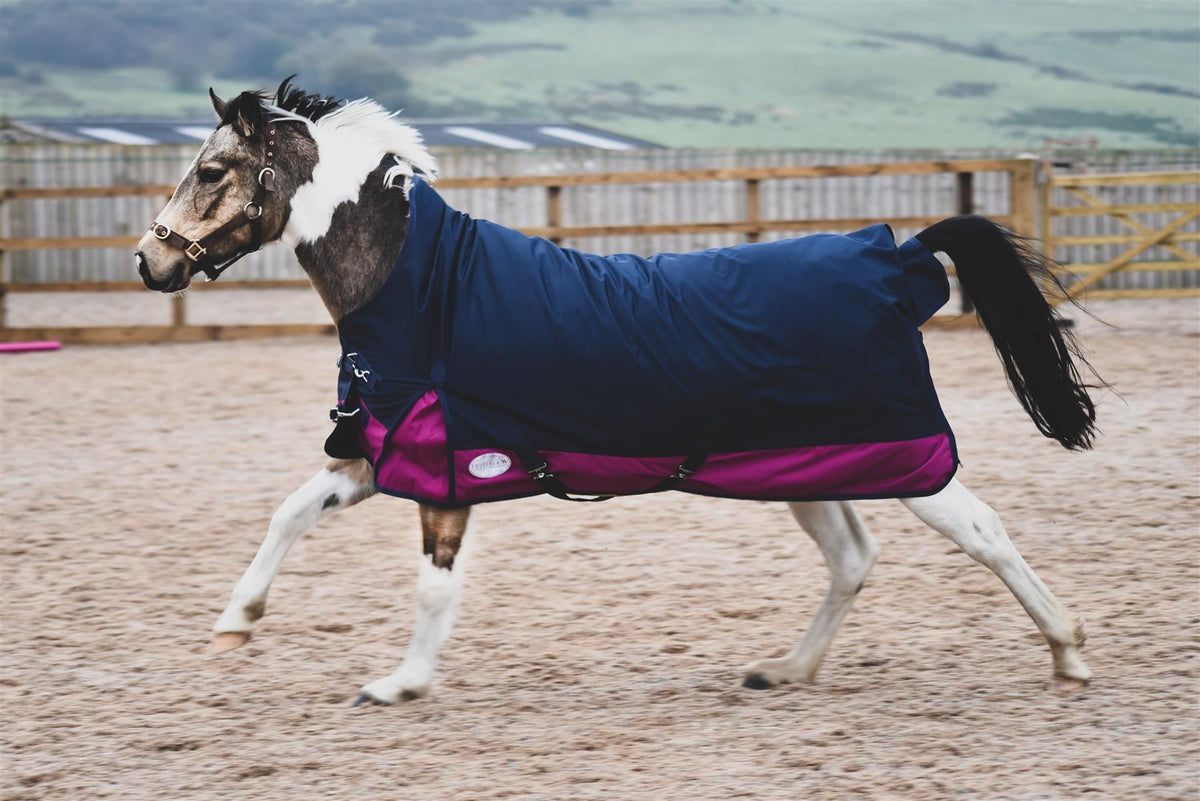 1200D Mediumweight Waterproof Horse Turnout Rug 200g Fill Half Neck Navy/Raspberry