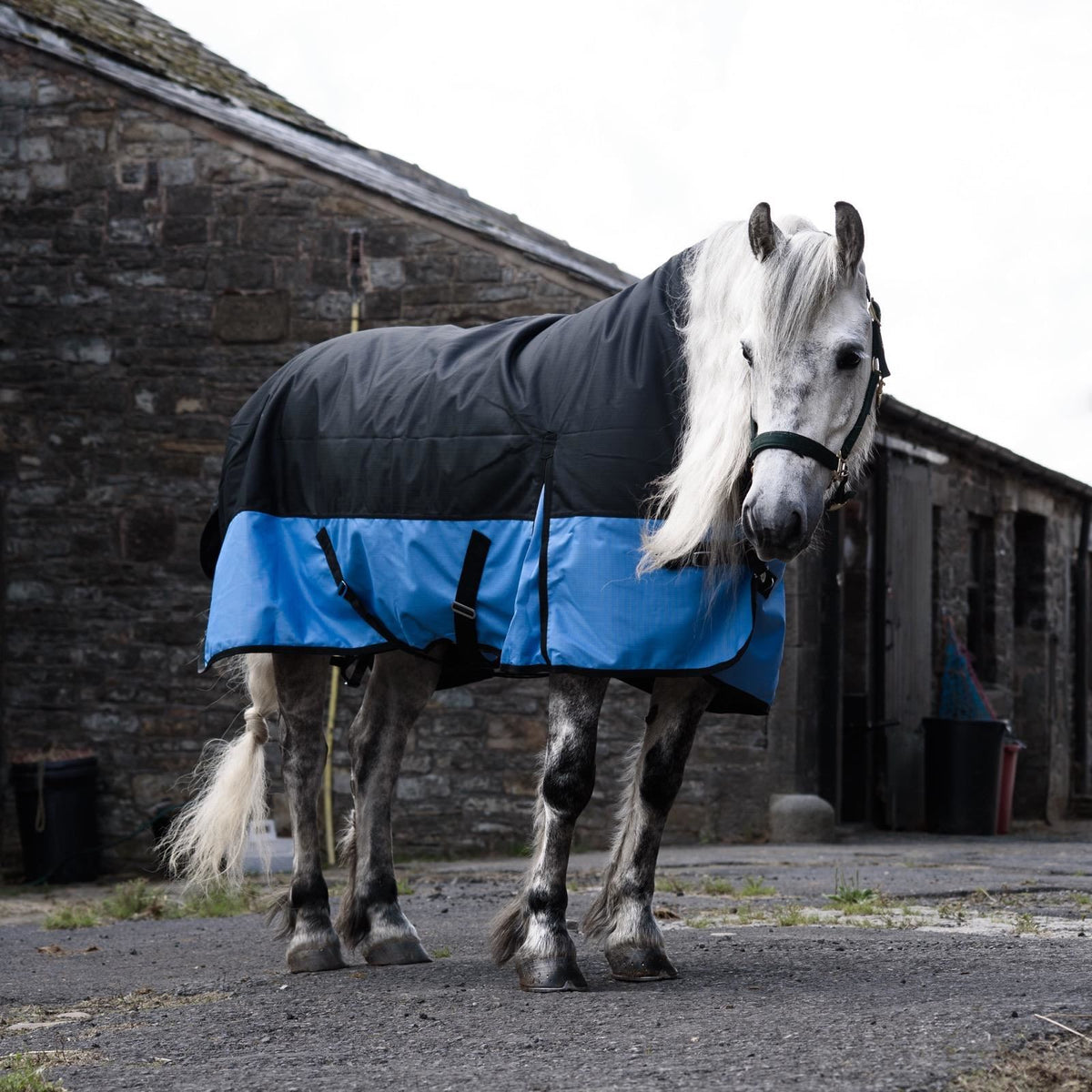 1200D Mediumweight Waterproof Horse Turnout Rug 100g Fill Half Neck Black/Baby Blue