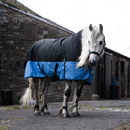 1200D Mediumweight Waterproof Horse Turnout Rug 100g Fill Half Neck Black/Baby Blue