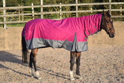 600D Mediumweight Waterproof Horse Turnout Rug 50g Fill Combo Full Neck Raspberry/Dark Grey
