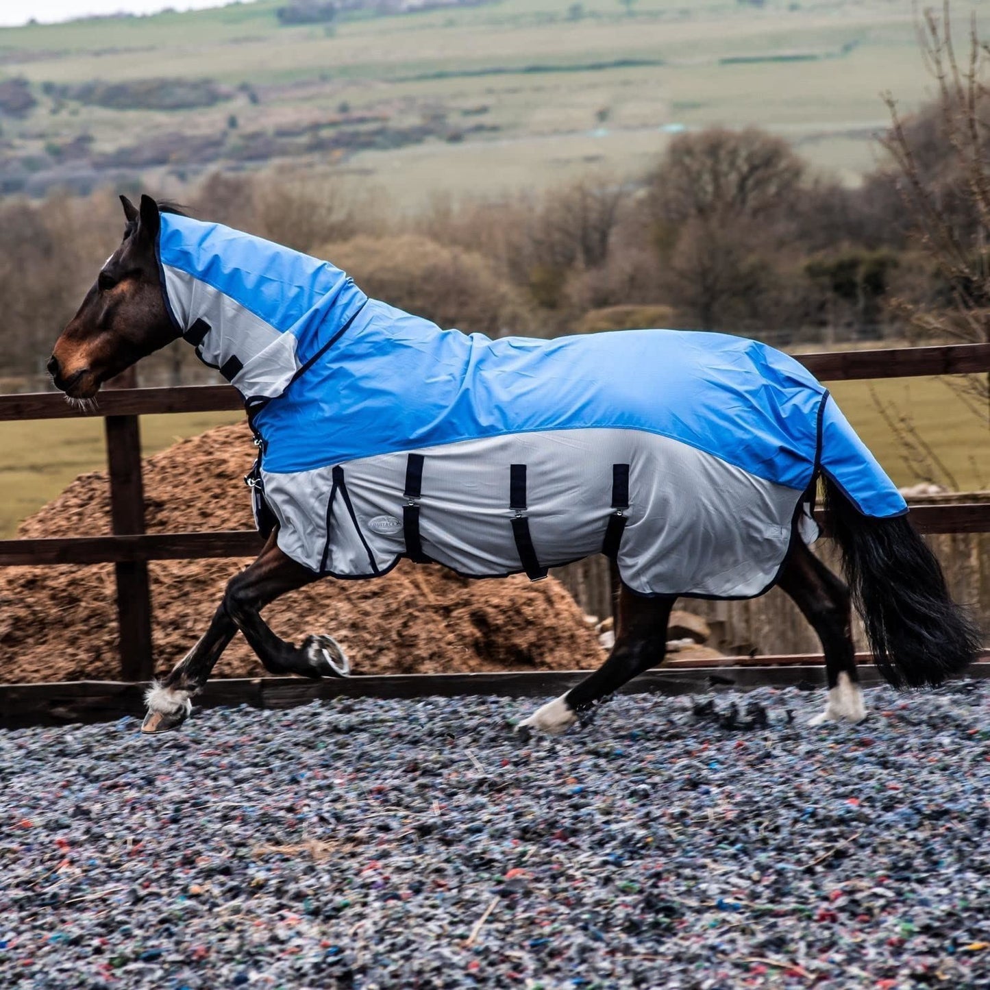 600D 2 in 1 Lightweight Waterproof Fly Turnout Mesh Horse Rug Fixed Neck Blue/Grey