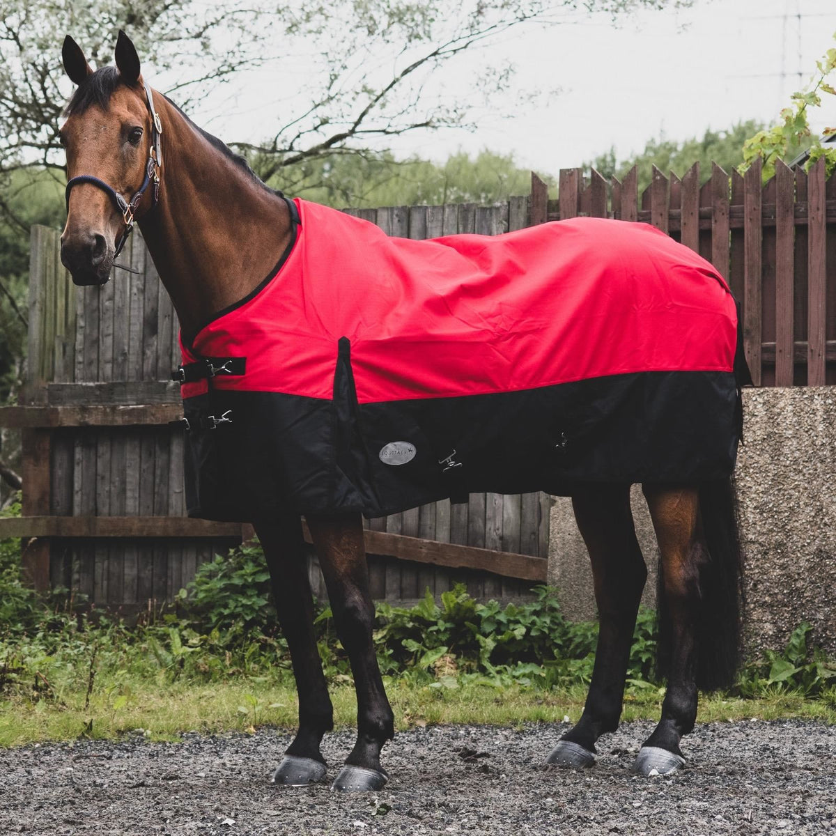 1200D Lightweight Waterproof Horse Turnout Rug 0g No Fill Standard Neck Red/Black