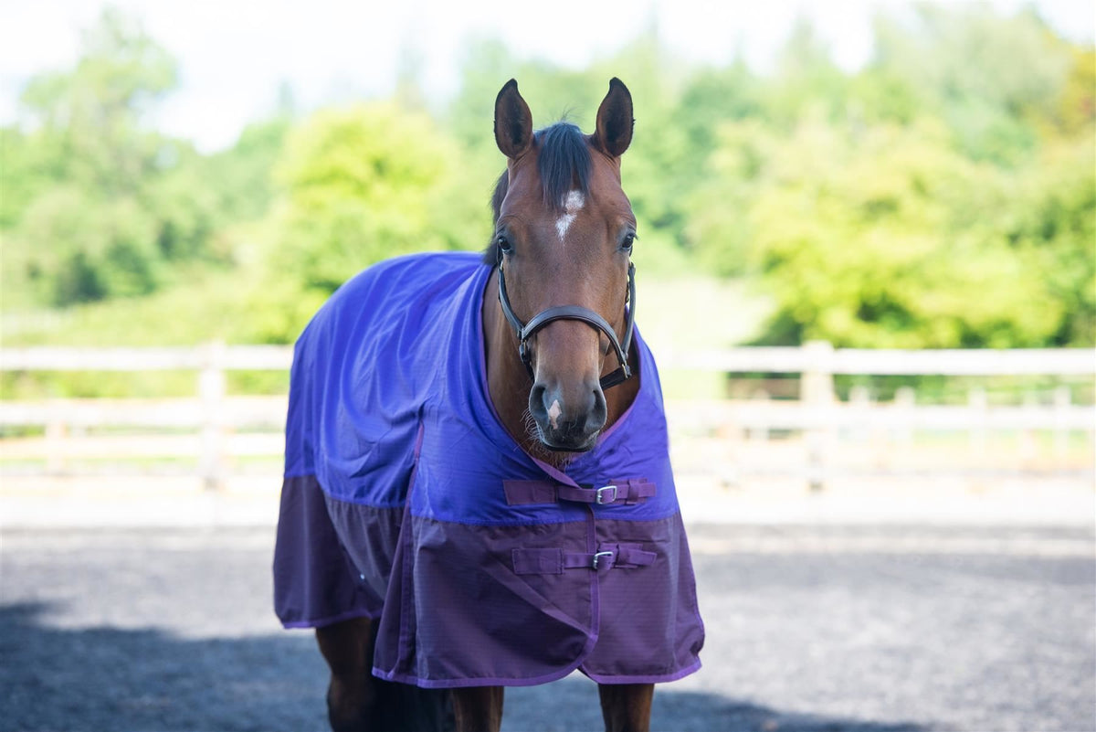 600D Mediumweight Waterproof Horse Turnout Rug 100g Fill Standard Neck Purple/Plum