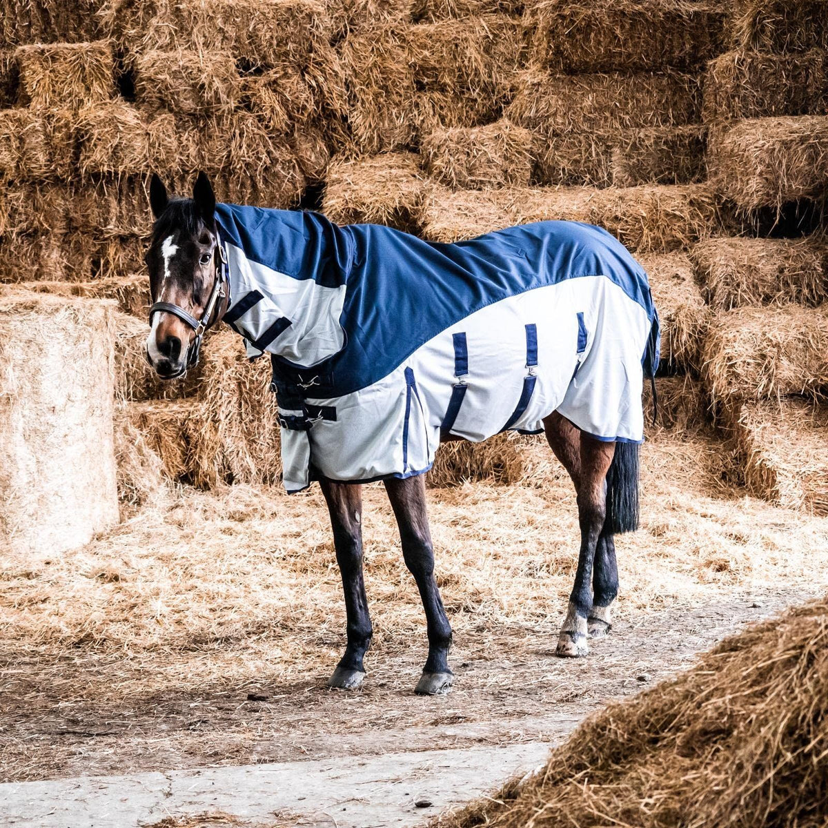 600D 2 in 1 Lightweight Waterproof Fly Turnout Mesh Horse Rug Fixed Neck Navy/Silver