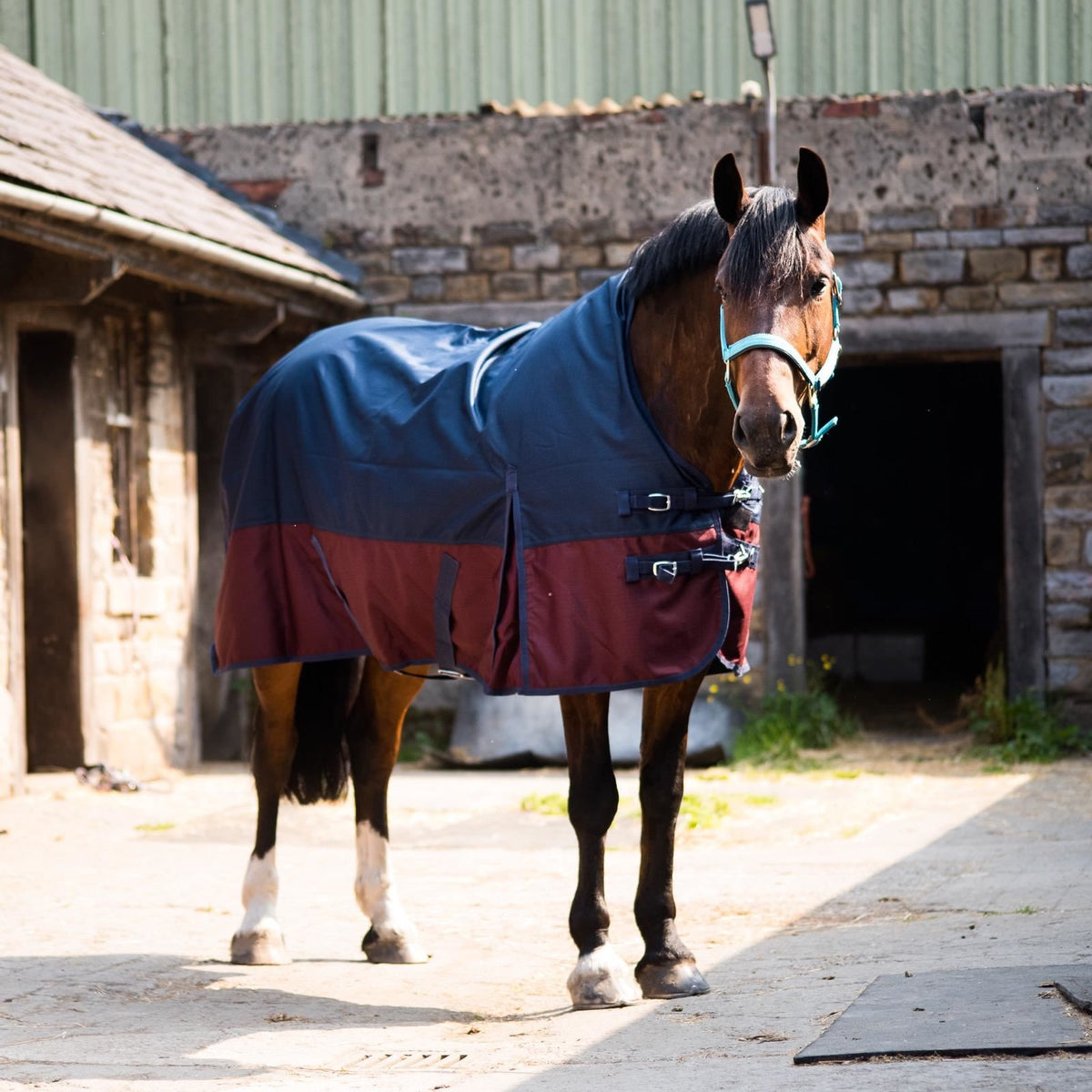 600D Lightweight Waterproof Horse Turnout Rug 0g No Fill Half Neck Navy/Maroon