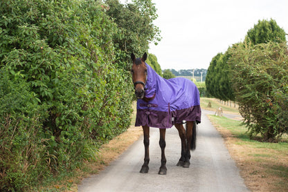 600D Mediumweight Waterproof Horse Turnout Rug 100g Fill Combo Full Neck Purple/Plum