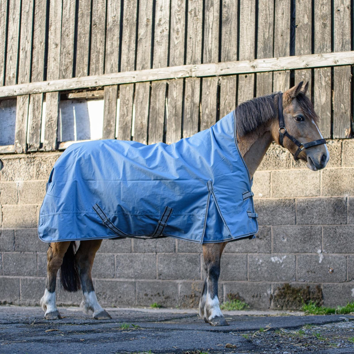 600D Lightweight Waterproof Horse Turnout Rug 0g No Fill Half Neck Dark Plum