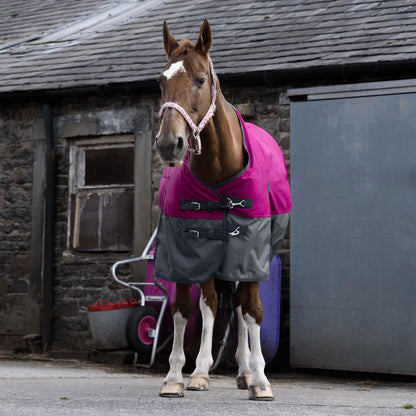 1200D Mediumweight Waterproof Horse Turnout Rug 50g Fill Standard Neck Raspberry/Grey