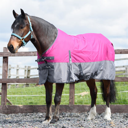 600D Mediumweight Waterproof Horse Turnout Rug 100g Fill Standard Neck Raspberry/Grey