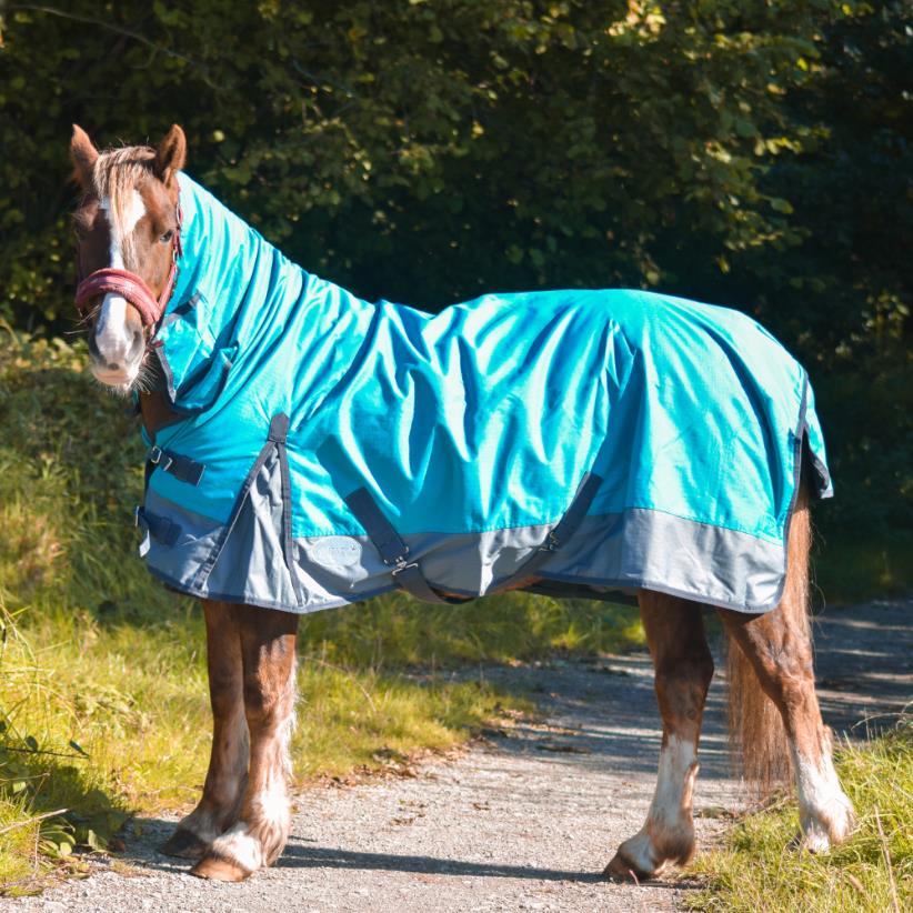 600D Mediumweight Waterproof Horse Turnout Rug 50g Fill Combo Full Neck Aqua/Dark Grey