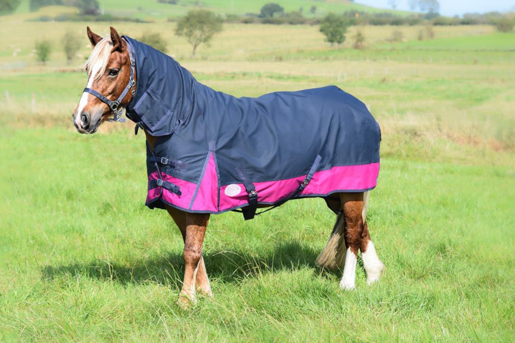 600D Mediumweight Waterproof Horse Turnout Rug 50g Fill Combo Full Neck Navy/Raspberry