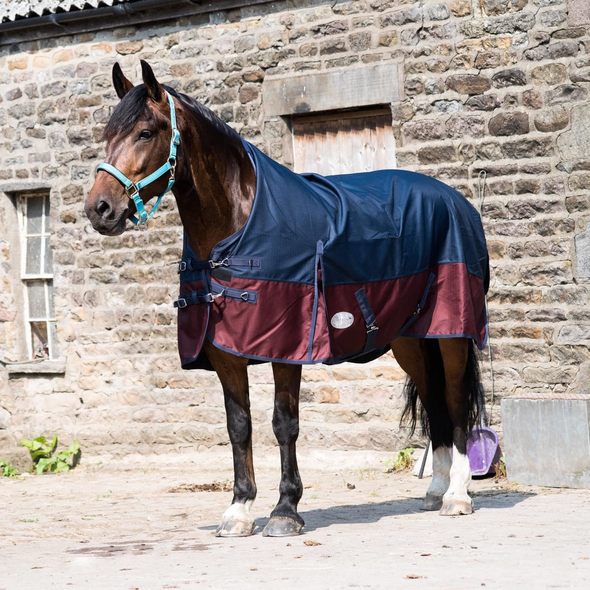 1200D Lightweight Waterproof Horse Turnout Rug 0g No Fill Half Neck Navy/Burgundy
