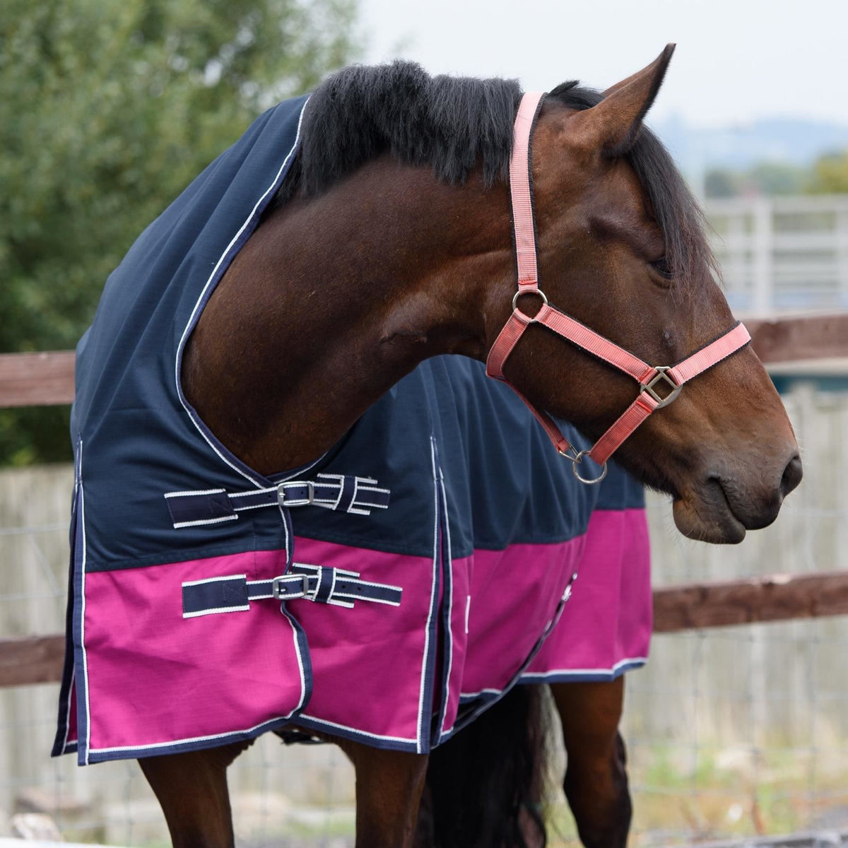1200D Lightweight Waterproof Horse Turnout Rug 0g No Fill Half Neck Navy/Raspberry