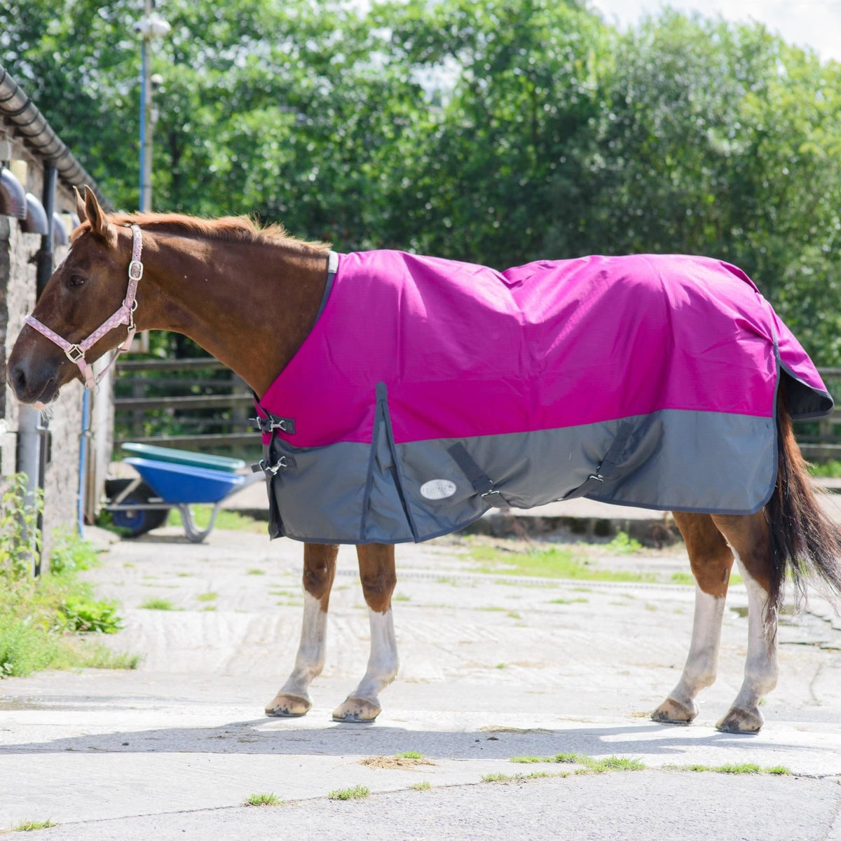 1200D Mediumweight Waterproof Horse Turnout Rug 50g Fill Standard Neck Raspberry/Grey
