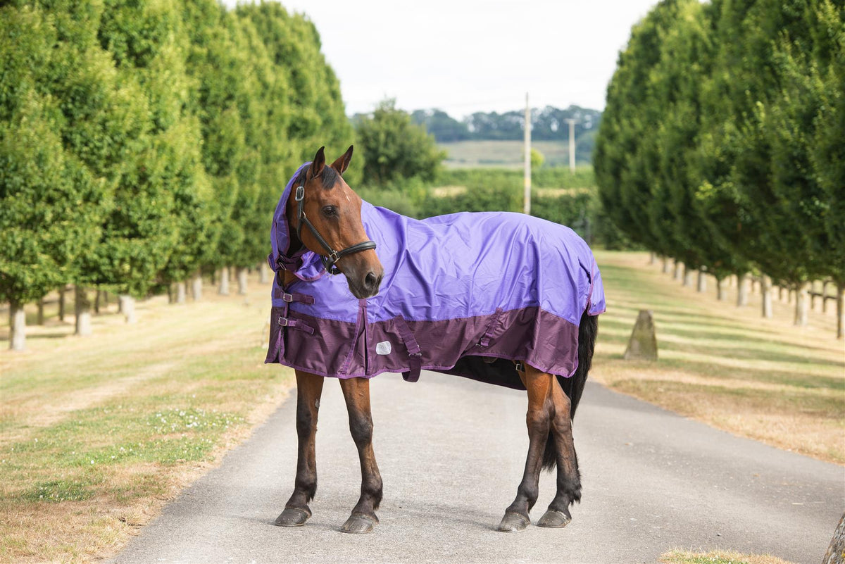 600D Mediumweight Waterproof Horse Turnout Rug 100g Fill Combo Full Neck Purple/Plum