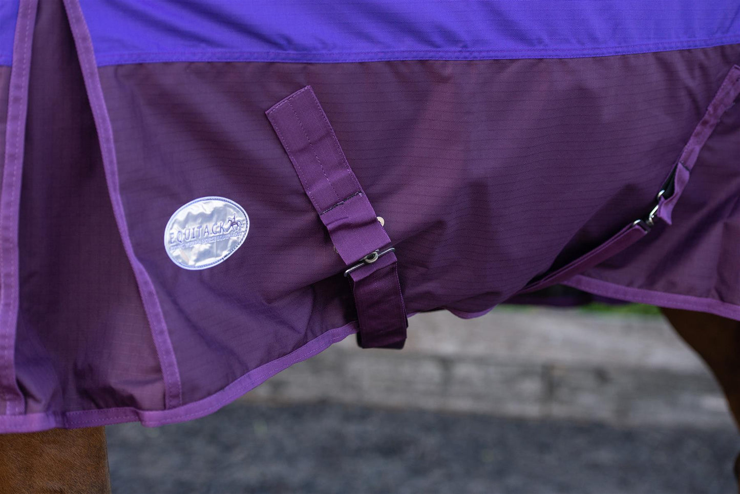 600D Lightweight Waterproof Horse Turnout Rug 0g No Fill Regular Neck Purple/Plum
