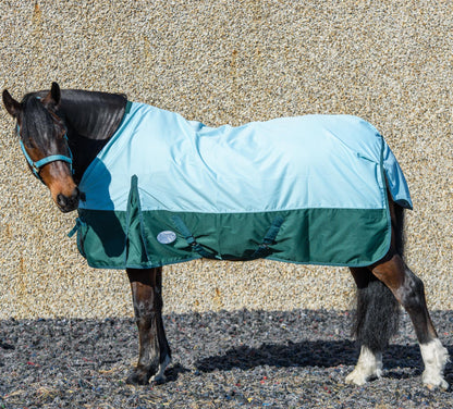 600D Lightweight Waterproof Horse Turnout Rug 0g No Fill Regular Neck Pista Aqua/Bottle Green