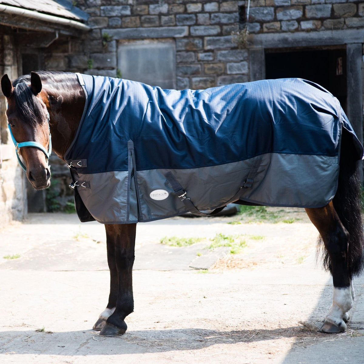 600D Lightweight Waterproof Horse Turnout Rug 0g No Fill Half Neck Navy/Grey