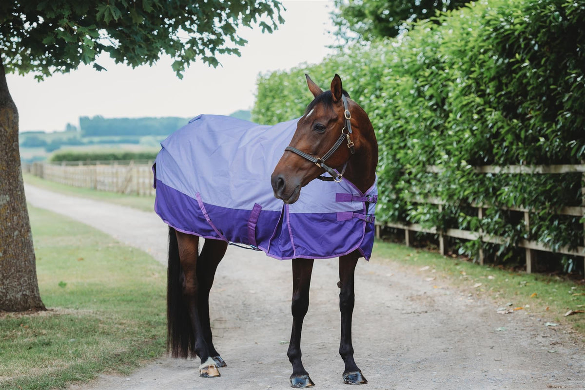 600D Mediumweight Waterproof Horse Turnout Rug 50g Fill Regular Neck Lavender/Purple