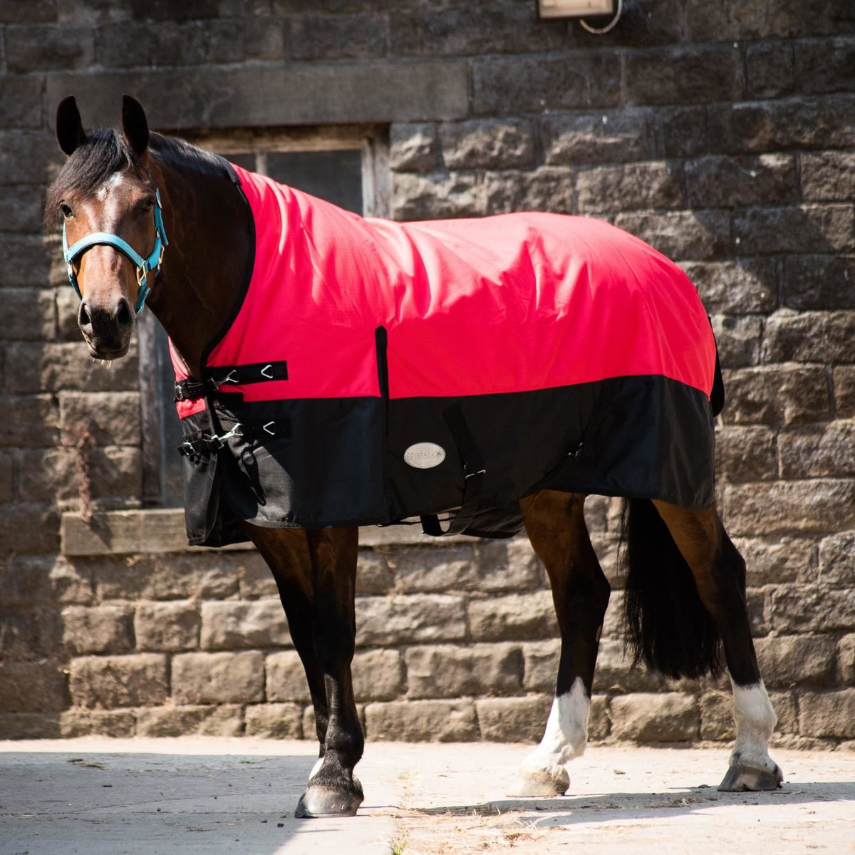 1200D Heavyweight Waterproof Horse Turnout Rug 300g Fill Half Neck Blue/Black
