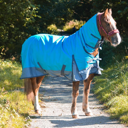 600D Lightweight Turnout Horse Rug Water Resistant Combo Neck Aqua/Grey 5'3-6'9