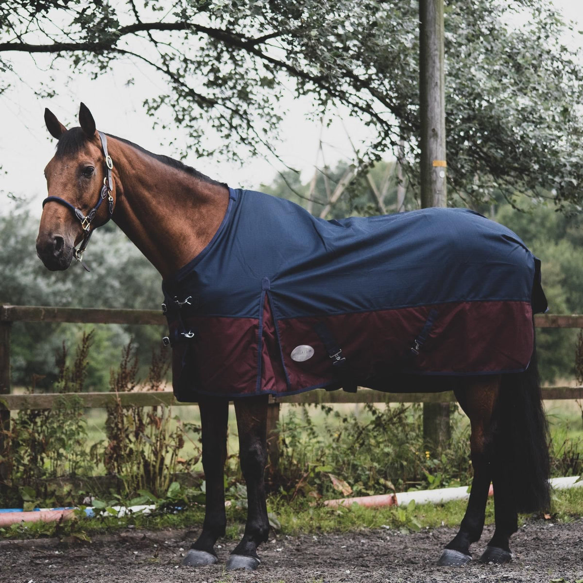 600D Mediumweight Waterproof Horse Turnout Rug 50g Fill Half Neck Royal Blue