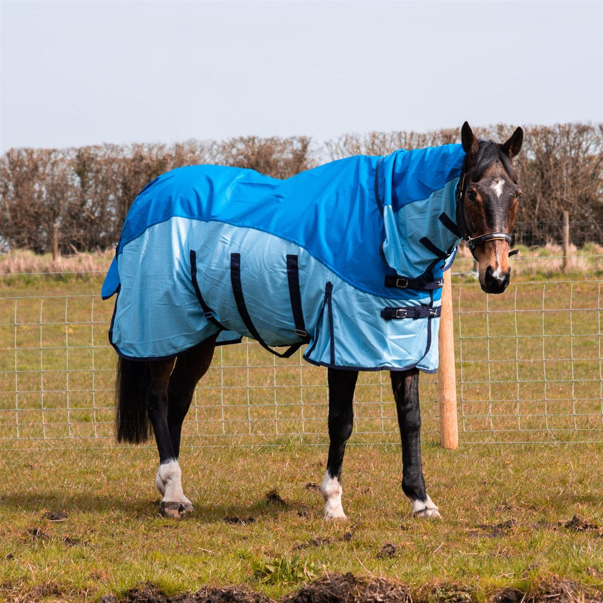 600D 2 in 1 Lightweight Waterproof Fly Turnout Mesh Horse Rug Fixed Neck Blue/Light Blue