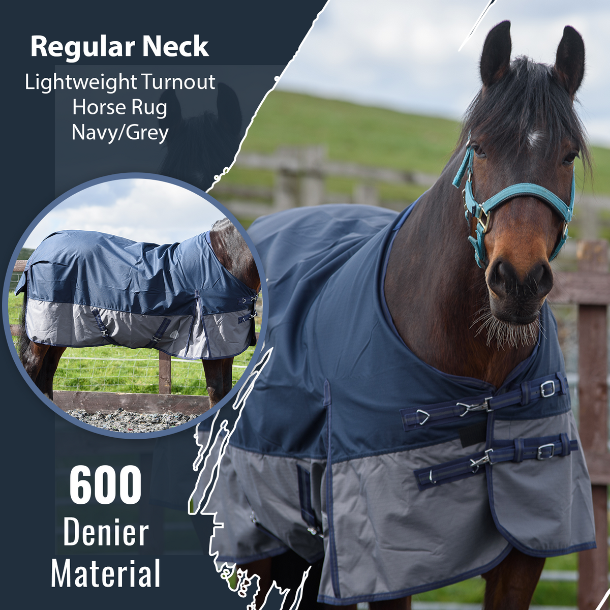 600D Lightweight Waterproof Horse Turnout Rug 0g No Fill Regular Neck Navy/Grey