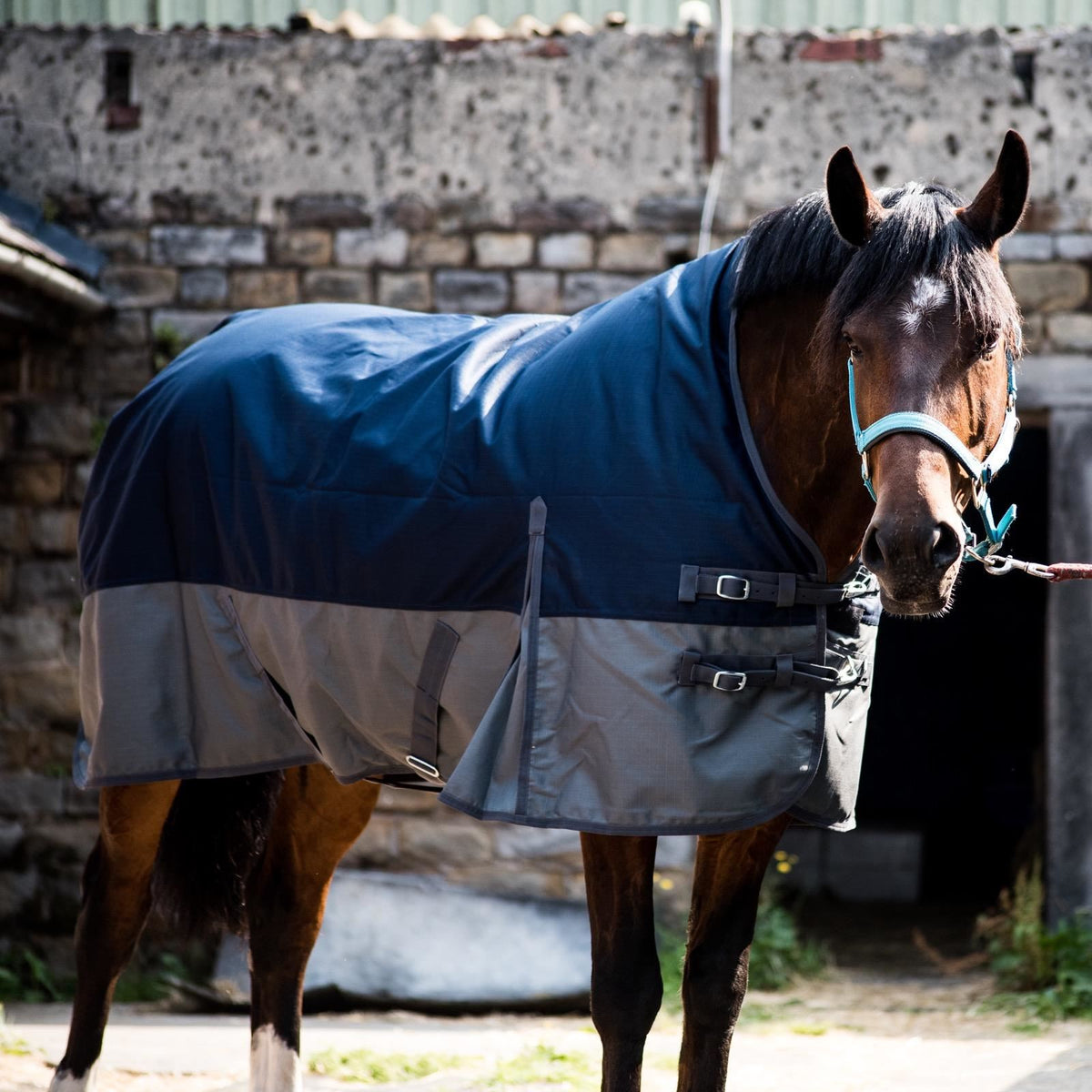 1200D Mediumweight Waterproof Horse Turnout Rug 100g Fill Half Neck Navy/Grey