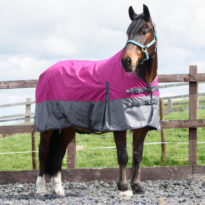 600D Mediumweight Waterproof Horse Turnout Rug 100g Fill Standard Neck Raspberry/Grey