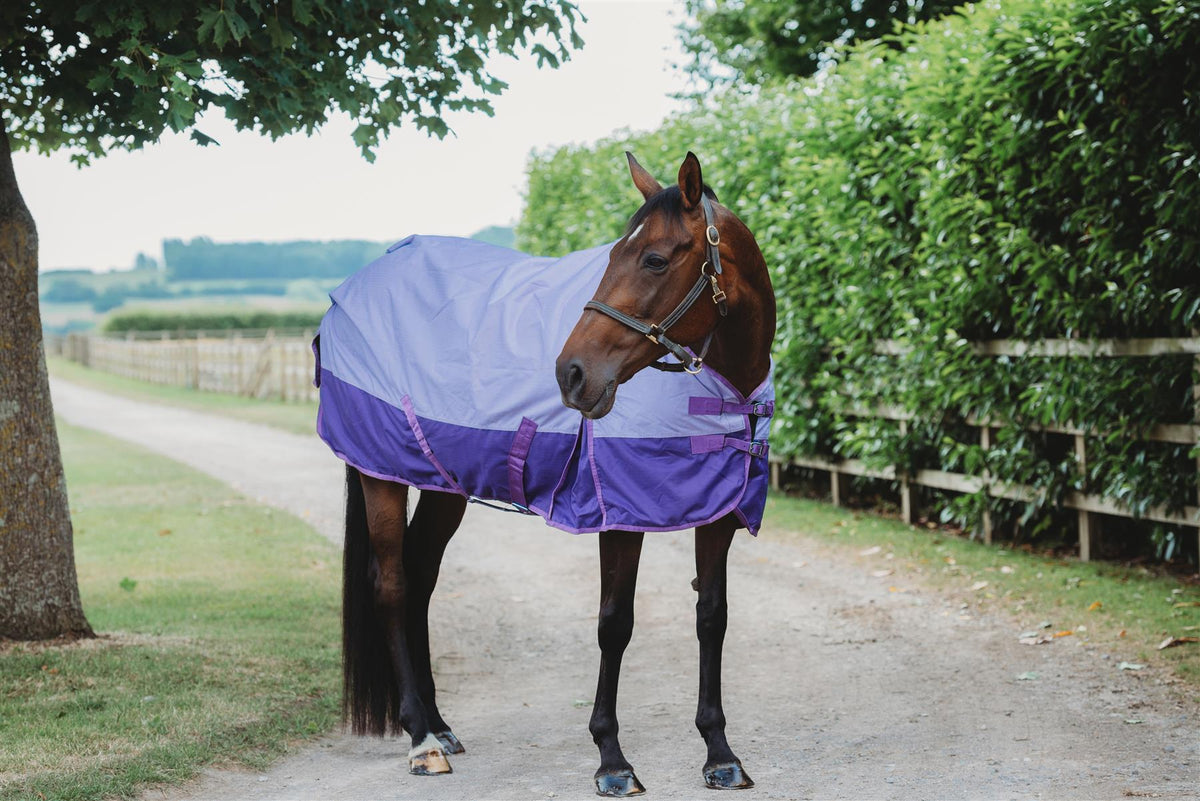 600D Lightweight Waterproof Horse Turnout Rug 0g No Fill Regular Neck Lavender/Purple