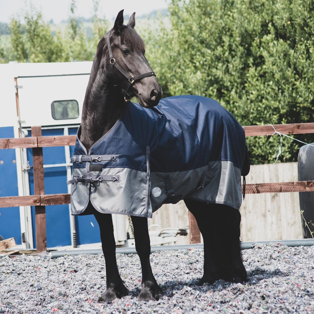 1200D Mediumweight Waterproof Horse Turnout Rug 100g Fill Standard Neck Navy/Grey