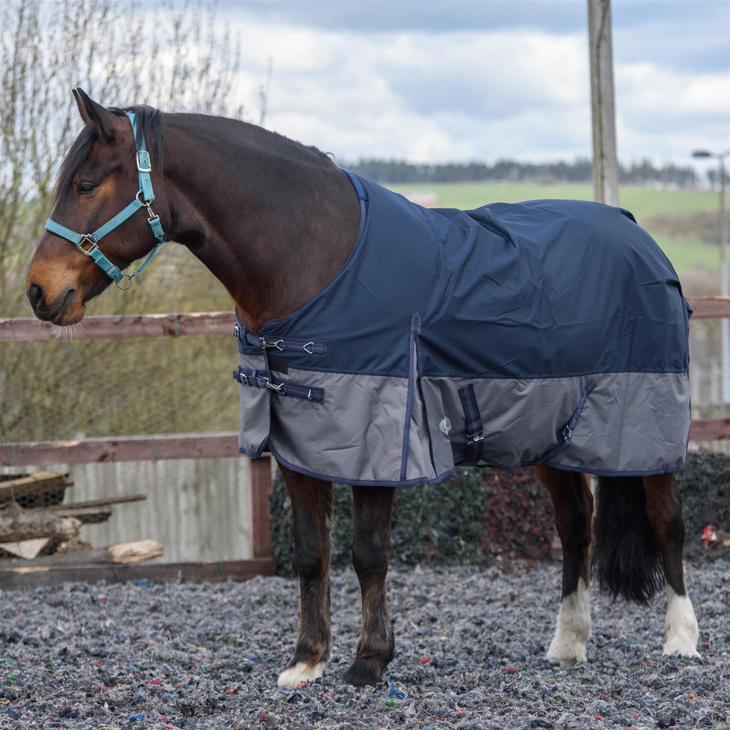 600D Lightweight Waterproof Horse Turnout Rug 0g No Fill Regular Neck Navy/Grey