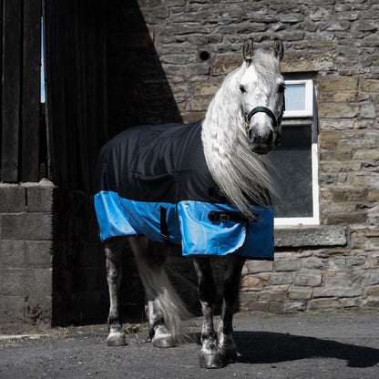 1200D Mediumweight Waterproof Horse Turnout Rug 100g Fill Standard Neck Black/Baby Blue