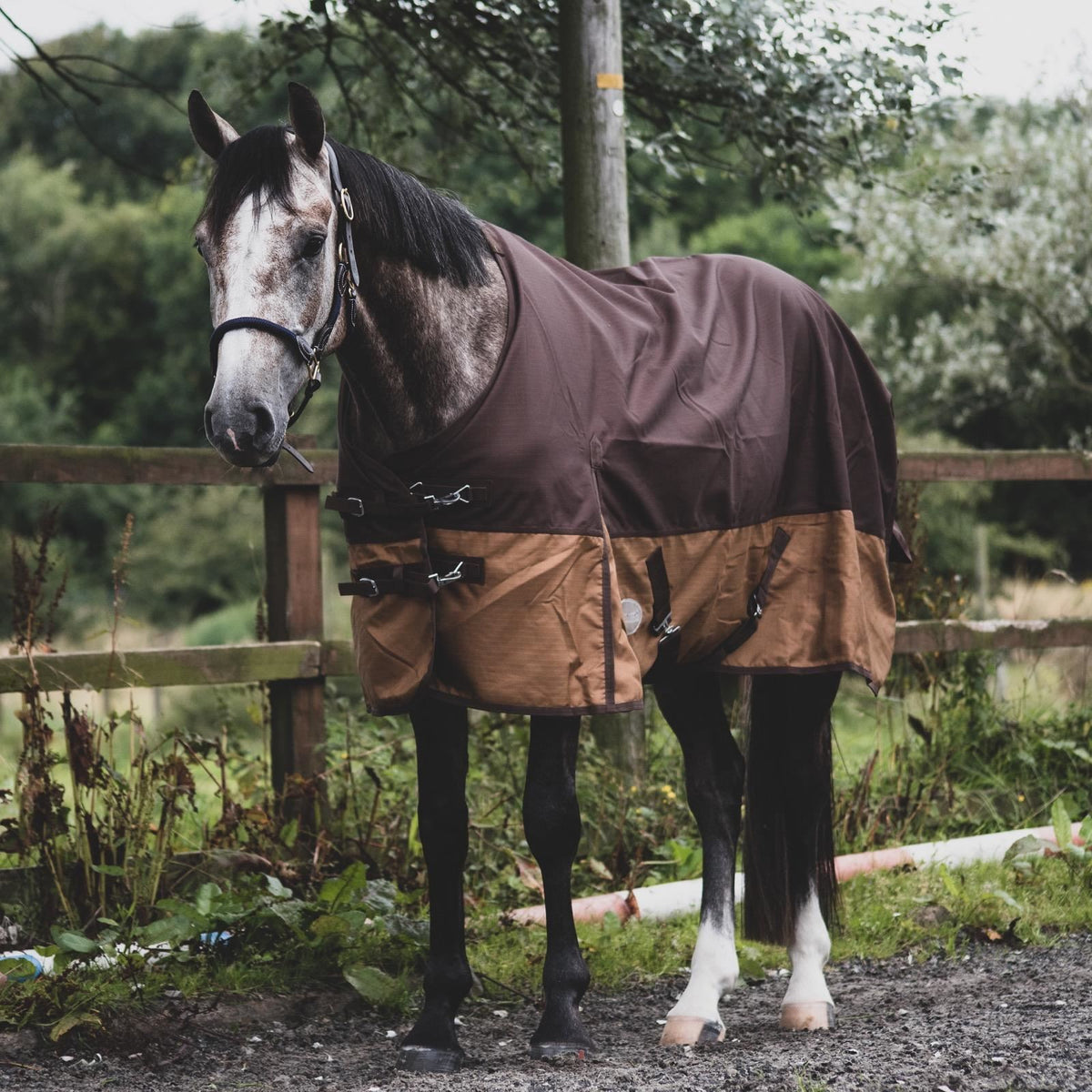 1200D Lightweight Waterproof Horse Turnout Rug 0g No Fill Standard Neck Grey/Brown