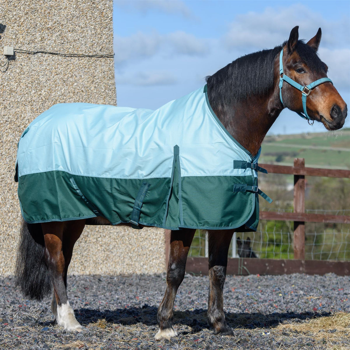 600D Lightweight Waterproof Horse Turnout Rug 0g No Fill Regular Neck Pista Aqua/Bottle Green