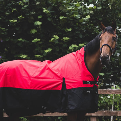 1200D Mediumweight Waterproof Horse Turnout Rug 100g Fill Half Neck Red/Black