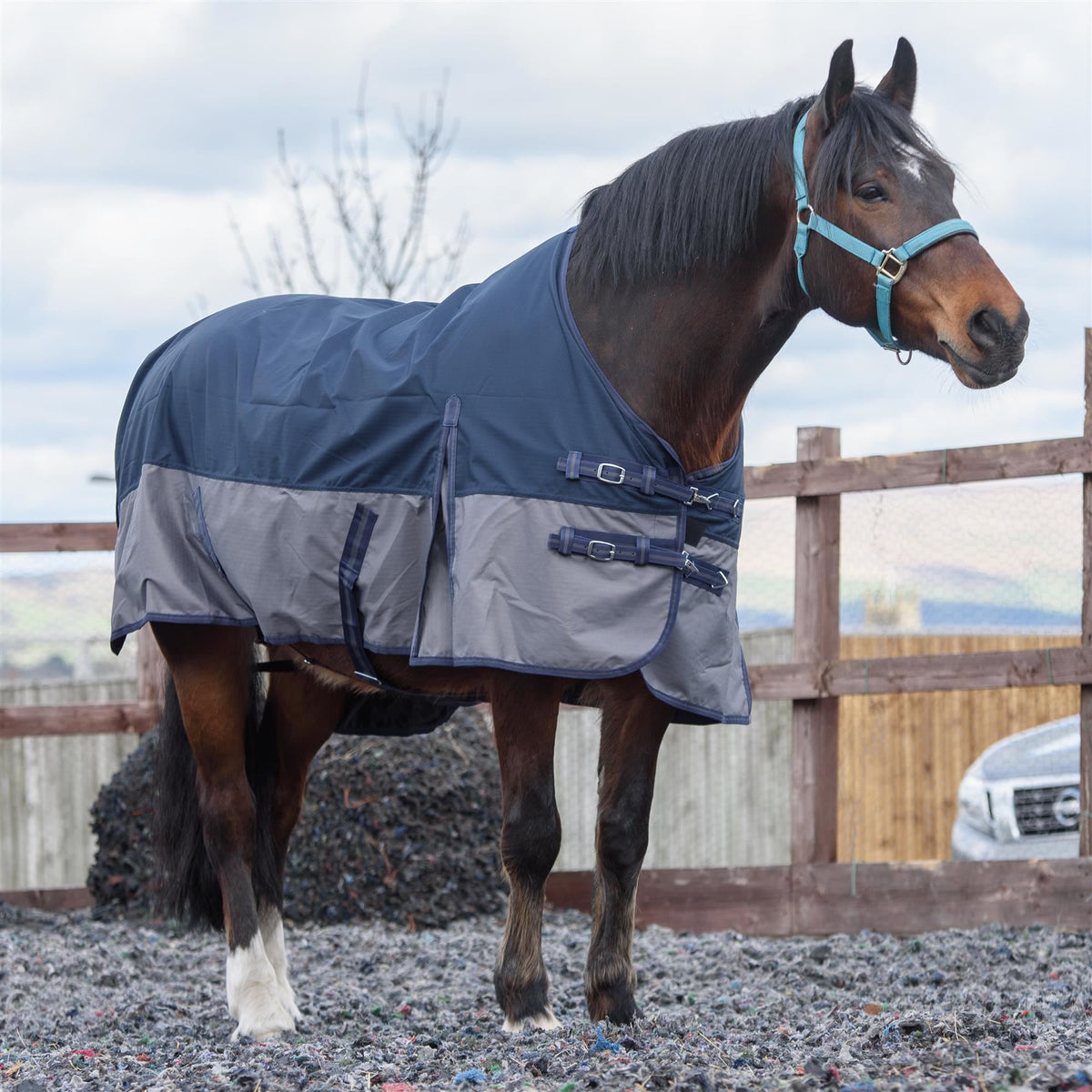 600D Mediumweight Waterproof Horse Turnout Rug 100g Fill Standard Neck Navy/Grey