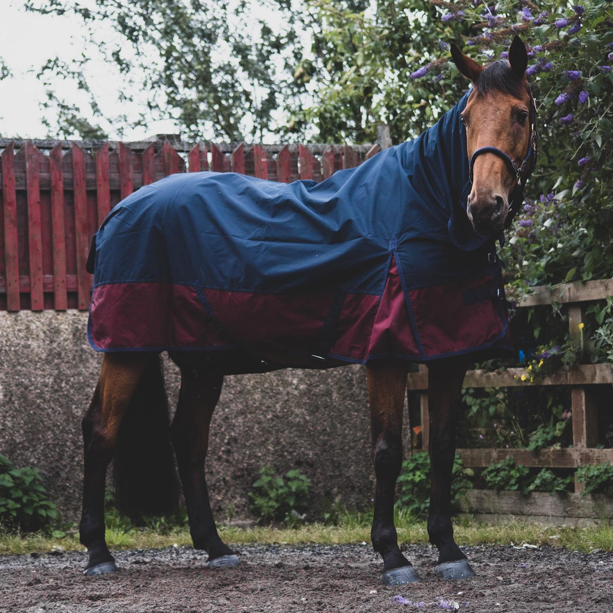 600D Lightweight Waterproof Horse Turnout Rug 0g No Fill Combo Full Neck Navy/Burgundy