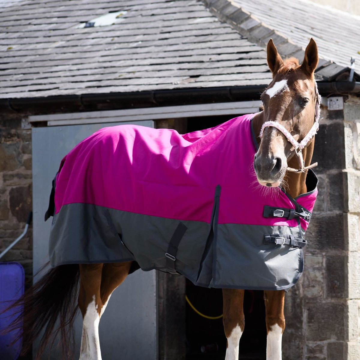 1200D Mediumweight Waterproof Horse Turnout Rug 50g Fill Standard Neck Raspberry/Grey