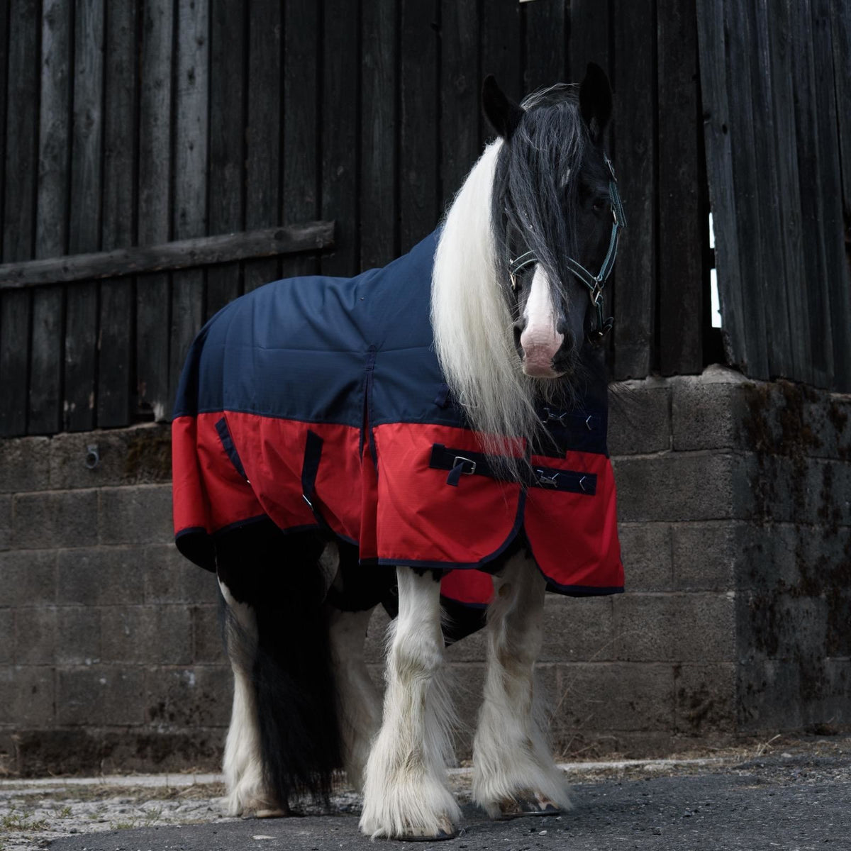 1200D Mediumweight Waterproof Horse Turnout Rug 50g Fill Standard Neck Navy/Red