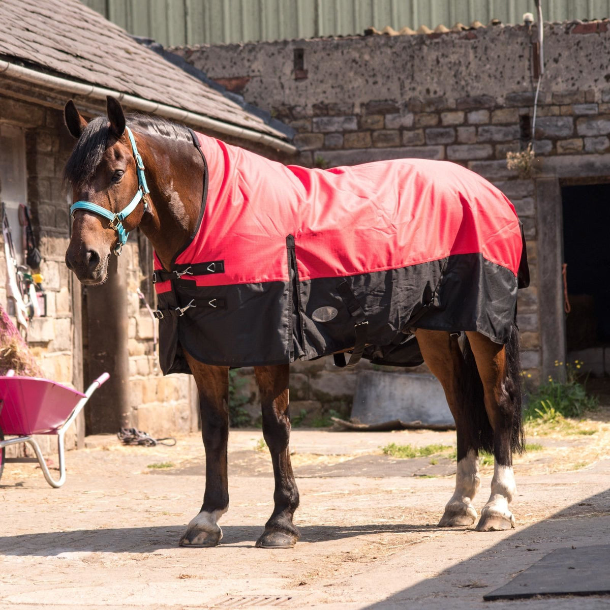 1200D Heavyweight Waterproof Horse Turnout Rug 300g Fill Half Neck Blue/Black