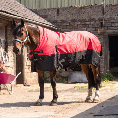 1200D Heavyweight Waterproof Horse Turnout Rug 300g Fill Half Neck Blue/Black