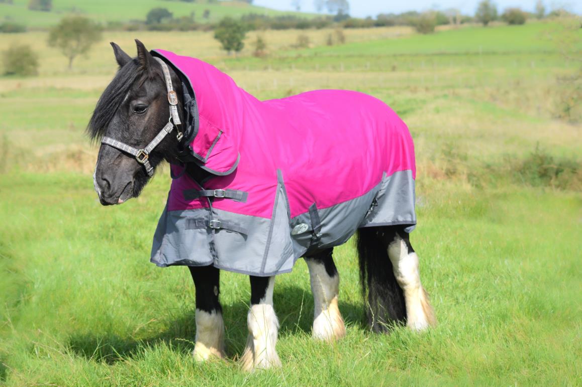 600D Lightweight Waterproof Horse Turnout Rug 0g No Fill Combo Full Neck Raspberry/Dark Grey