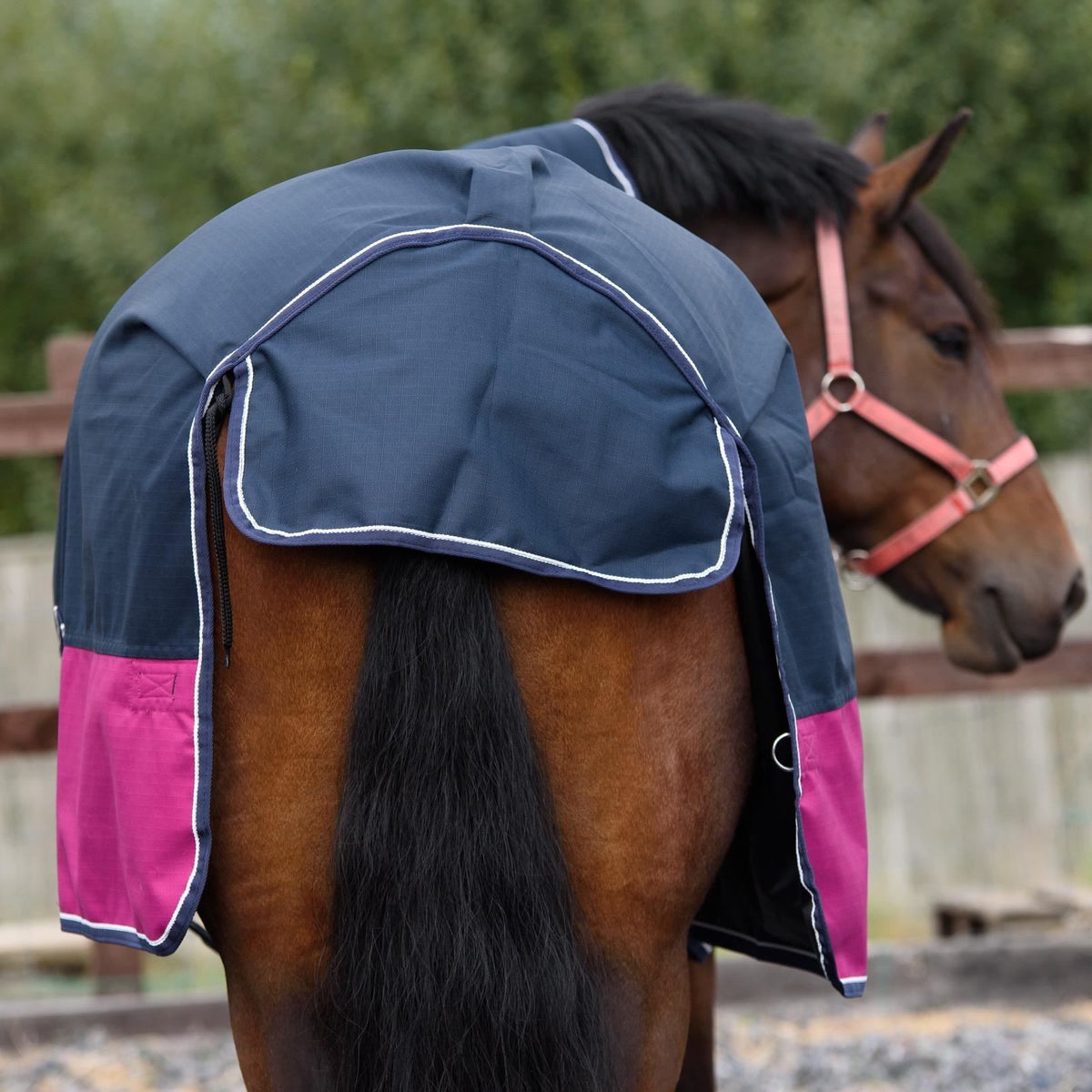 1200D Lightweight Waterproof Horse Turnout Rug 0g No Fill Half Neck Navy/Raspberry