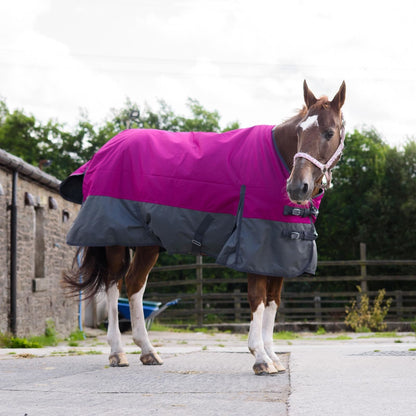 1200D Mediumweight Waterproof Horse Turnout Rug 50g Fill Standard Neck Raspberry/Grey
