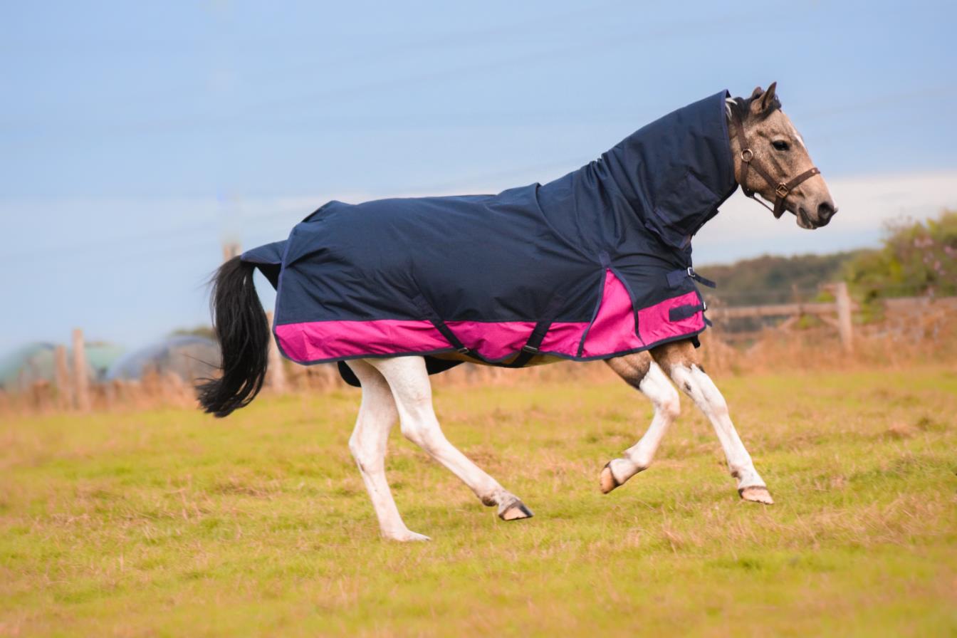 1200D Mediumweight Waterproof Horse Turnout Rug 50g Fill Combo Full Neck Navy/Raspberry