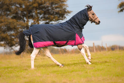 600D Mediumweight Waterproof Horse Turnout Rug 100g Fill Combo Full Neck Navy/Raspberry
