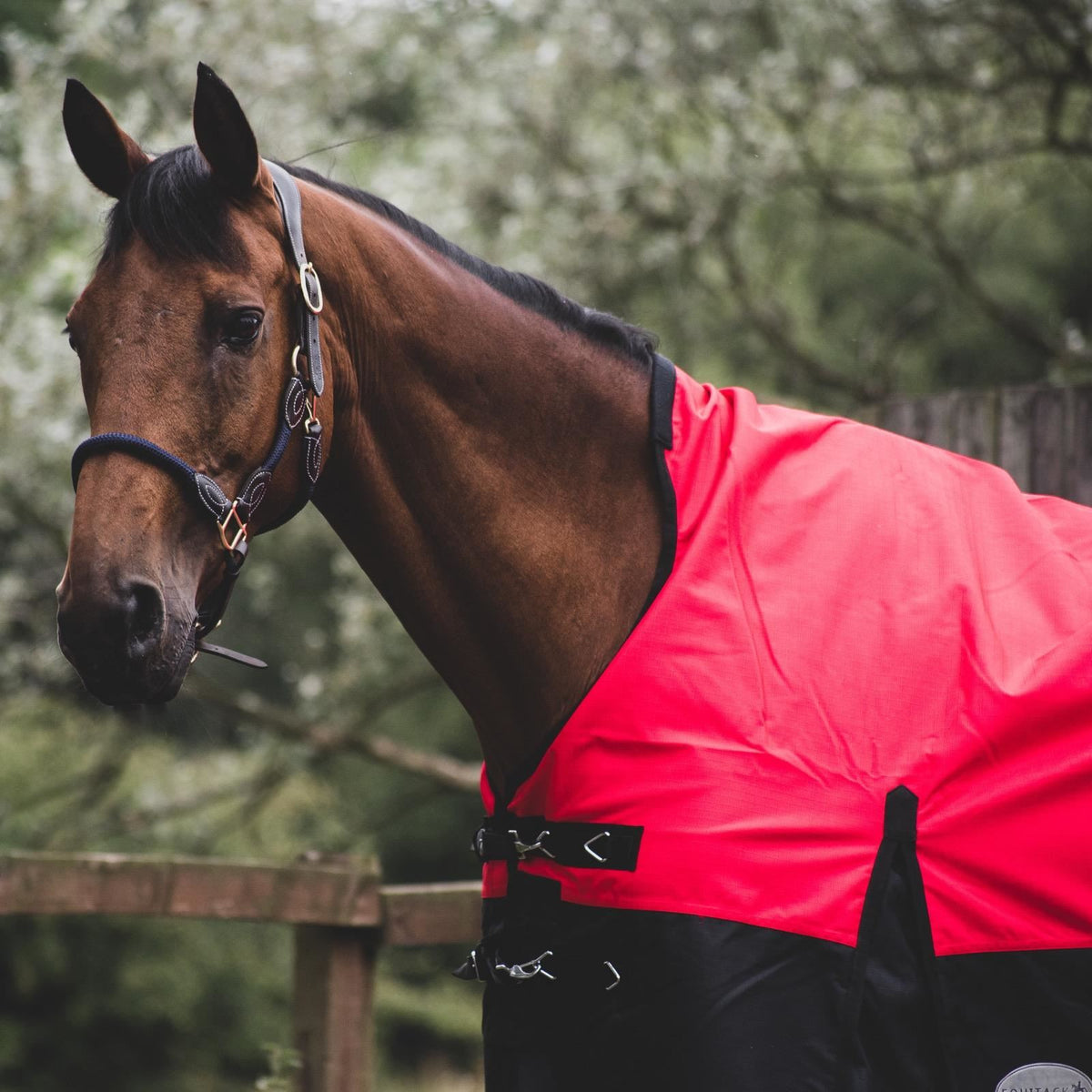 1200D Mediumweight Waterproof Horse Turnout Rug 100g Fill Half Neck Red/Black