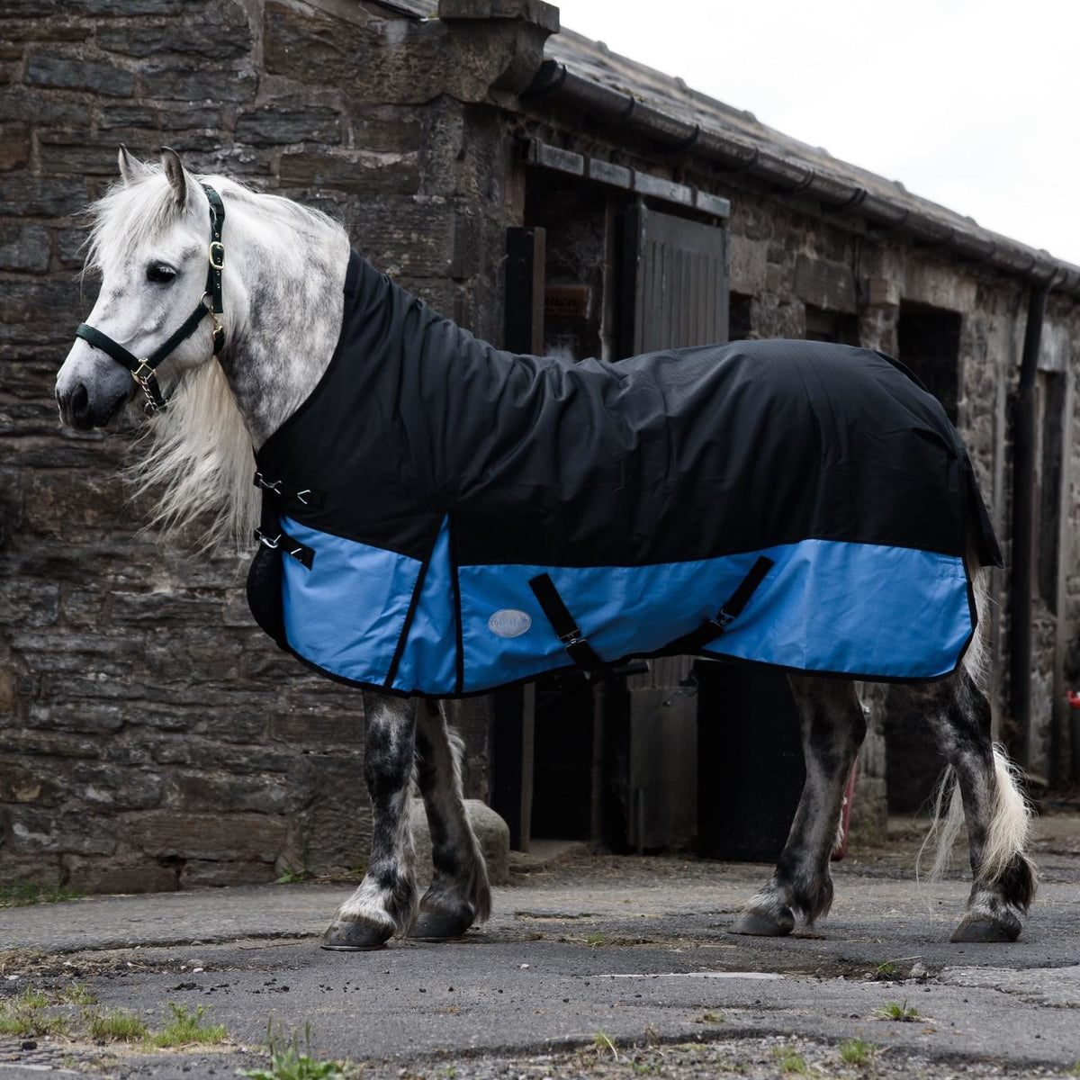 1200D Mediumweight Waterproof Horse Turnout Rug 100g Fill Half Neck Black/Baby Blue